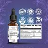 imageGuruNanda Black Seed Oil ColdPressed Nigella Sativa  Rich in Vitamin D3 5000 Units K2 ampamp E High Thymoquinone  Potent Antioxidant for Immune Support NonGMO 2 FlozSeed Oil