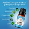 imageGuruNanda Breathe Easy Essential Oil Blend of 100 Natural ampamp Pure Essential Oils Aromatherapy Blend for Helps in Promoting Nasal Breathing 2X05 Fl OzBreathe Easy