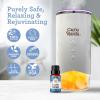 imageGuruNanda Breathe Easy Essential Oil Blend of 100 Natural ampamp Pure Essential Oils Aromatherapy Blend for Helps in Promoting Nasal Breathing 2X05 Fl OzCalming Sleep