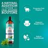 imageGuruNanda CocoMint Oil Pulling Mouthwash for Complete Oral Hygiene 7 Essential Oils ampamp Vitamins for Happy Teeth ampamp Gums ampamp Fresh Breath AlcoholFree 3X8 ozPack of 3 24 Fl Oz