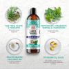 imageGuruNanda CocoMint Oil Pulling Mouthwash for Complete Oral Hygiene 7 Essential Oils ampamp Vitamins for Happy Teeth ampamp Gums ampamp Fresh Breath AlcoholFree 3X8 ozPack of 3 24 Fl Oz