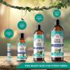 imageGuruNanda CocoMint Oil Pulling Mouthwash for Complete Oral Hygiene 7 Essential Oils ampamp Vitamins for Happy Teeth ampamp Gums ampamp Fresh Breath AlcoholFree 3X8 ozPack of 1 16 Fl Oz