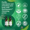 imageGuruNanda Gutcleanse 2Step Kit  Dietary Supplement to Help with Digestion  Blend of Fulvic Acid Wormwood Clove ampamp Neem Extract 2x1 FlOz