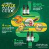 imageGuruNanda Gutcleanse 2Step Kit  Dietary Supplement to Help with Digestion  Blend of Fulvic Acid Wormwood Clove ampamp Neem Extract 2x1 FlOz