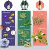 imageGuruNanda Total Wellness Boost with Liquid Ashwagandha Black Seed Oil ampamp GutCleanse  Helps with Immunity and Mind Care