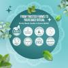 imageGuruNanda Essential Oil Blends Set of 6  Natural Essential Oil Set Aromatherapy Oil Blends for Diffusers  Breathe Easy Tranquility Harmony Calming Sleep Relaxation ampamp ThriveBreathe EO  3 Pack