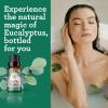 imageGuruNanda Lavender Essential Oil 100 Pure Natural ampamp Undiluted Aromatherapy Oil for Diffusers Massage ampamp DIY Recipes Aids Relaxation and Feeling of Calmness 05 FL OzEucalyptus