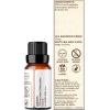 imageGuruNanda Peppermint Essential Oil 100 Pure Natural ampamp Undiluted Aromatherapy Oil for Diffusers ampamp DIY Recipes Invigorating Scent Helps Support Focus and Clarity 05 Fl OzEucalyptus