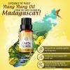 imageGuruNanda Peppermint Essential Oil 100 Pure Natural ampamp Undiluted Aromatherapy Oil for Diffusers ampamp DIY Recipes Invigorating Scent Helps Support Focus and Clarity 05 Fl OzYlang Ylang