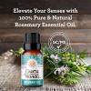 imageGuruNanda Peppermint Essential Oil 100 Pure Natural ampamp Undiluted Aromatherapy Oil for Diffusers ampamp DIY Recipes Invigorating Scent Helps Support Focus and Clarity 05 Fl OzRosemary
