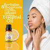 imageGuruNanda Peppermint Essential Oil 100 Pure Natural ampamp Undiluted Aromatherapy Oil for Diffusers ampamp DIY Recipes Invigorating Scent Helps Support Focus and Clarity 05 Fl OzLemon