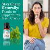 imageGuruNanda Peppermint Essential Oil 100 Pure Natural ampamp Undiluted Aromatherapy Oil for Diffusers ampamp DIY Recipes Invigorating Scent Helps Support Focus and Clarity 05 Fl OzPeppermint