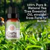 imageGuruNanda Peppermint Essential Oil 100 Pure Natural ampamp Undiluted Aromatherapy Oil for Diffusers ampamp DIY Recipes Invigorating Scent Helps Support Focus and Clarity 05 Fl OzTea Tree