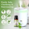 imageGuruNanda Peppermint Essential Oil 100 Pure Natural ampamp Undiluted Aromatherapy Oil for Diffusers ampamp DIY Recipes Invigorating Scent Supports Focus and Clarity 2X05 Fl OzTea Tree