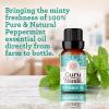 imageGuruNanda Peppermint Essential Oil 100 Pure Natural ampamp Undiluted Aromatherapy Oil for Diffusers ampamp DIY Recipes Invigorating Scent Supports Focus and Clarity 2X05 Fl OzPeppermint