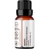 imageGuruNanda Peppermint Essential Oil 100 Pure Natural ampamp Undiluted Aromatherapy Oil for Diffusers ampamp DIY Recipes Invigorating Scent Supports Focus and Clarity 2X05 Fl OzPeppermint