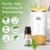 imageGuruNanda Peppermint Essential Oil 100 Pure Natural ampamp Undiluted Aromatherapy Oil for Diffusers ampamp DIY Recipes Invigorating Scent Supports Focus and Clarity 2X05 Fl OzTea Tree