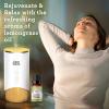 imageGuruNanda Peppermint Essential Oil 100 Pure Natural ampamp Undiluted Aromatherapy Oil for Diffusers ampamp DIY Recipes Invigorating Scent Supports Focus and Clarity 2X05 Fl OzLemongrass