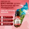 imageGuruNanda Sleep Essential Oil Set Pack of 3 x 034 Fl Oz  100 Pure Natural ampamp Undiluted Cedarwood Frankincense ampamp Lavender Aromatherapy Oils for Diffuser  Perfect for Massages ampamp DIY RecipesBreathe EO  3 Pack