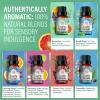 imageGuruNanda Sleep Essential Oil Set Pack of 3 x 034 Fl Oz  100 Pure Natural ampamp Undiluted Cedarwood Frankincense ampamp Lavender Aromatherapy Oils for Diffuser  Perfect for Massages ampamp DIY RecipesBlends EO  6 Pack