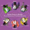 imageGuruNanda Sleep Essential Oil Set Pack of 3 x 034 Fl Oz  100 Pure Natural ampamp Undiluted Cedarwood Frankincense ampamp Lavender Aromatherapy Oils for Diffuser  Perfect for Massages ampamp DIY RecipesSingles EO  6 Pack