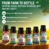 imageGuruNanda Sleep Essential Oil Set Pack of 3 x 034 Fl Oz  100 Pure Natural ampamp Undiluted Cedarwood Frankincense ampamp Lavender Aromatherapy Oils for Diffuser  Perfect for Massages ampamp DIY RecipesBlends EO  6 Pack