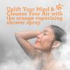 imageGuruNanda Breathe Vaporizing Shower Spray Natural Spa Mist ampamp Room Spray with Eucalyptus ampamp Basil for Congestion Aid ampamp Support Mental Clarity 2 fl ozOrange