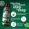 imageGuruNanda Coconut ampamp Peppermint Oil Pulling 8 FlOz and Ashwagandha Oil Pulling 8 Fl Oz Alcohol Free Whitening Mouthwash for Fresh Breath ampamp Whiter Teeth