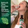 imageGuruNanda Original Advanced and Coconut ampamp Peppermint Oil Pulling  Alcohol ampamp Fluoride Free Mouthwash  100 Natural Ayurvedic Blend for Healthy Teeth ampamp Gums Teeth Whitening ampamp Fresh Breath