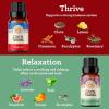 imageGuruNanda Essential Oils Set for Diffusers  Set of 6 Single Essential Oils and Set of 6 Essential Oil Blends