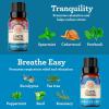 imageGuruNanda Essential Oils Set for Diffusers  Set of 6 Single Essential Oils and Set of 6 Essential Oil Blends