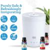 imageGuruNanda Essential Oils Set for Diffusers  Set of 6 Single Essential Oils and Set of 6 Essential Oil Blends