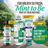 imageGuruNanda Mint to Be Kit  CocoMint Oil Pulling Hydroxyapatite Neem Toothpaste ampamp Dual Barrel Breath Harmonizer Mouthwash for Fresh Breath ampamp Oral Care