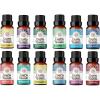 imageGuruNanda Essential Oils Set for Diffusers  Set of 6 Single Essential Oils and Set of 6 Essential Oil Blends