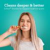 imageGuruNanda Butter On Gums Toothbrush ADA Accepted With 8000 Ultra Soft Softex Bristles for Sensitive ampamp Receding Gums Perfect for Whiter Teeth 6 CtMulticolor
