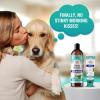 imageGuruNanda Essential Morning Wellness Duo  Coconut Oil Pulling Mouthwash ampamp Hydroxyapatite Toothpaste  Helps Promotes Fresh Breath ampamp Happy Gums FluorideFree