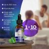 imageGuruNanda Gums of Steel Kit  Advanced Dental Water Flosser UV Mode Concentrated Mouthwash Cocomint Pulling Oil Butter on Gums Toothbrush ampamp Tongue Scraper for Happy Gums