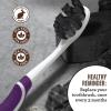 imageGuruNanda Butter on Gums Charcoal Toothbrush  8000 Softex Bristles for Sensitive Teeth ampamp Gums  BPA ampamp Latex Free Teeth Whitening Toothbrush with Ergonomic Rubber Handle for Kids ampamp Adults  1 CountCharcoal