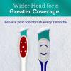 imageGuruNanda Gentle Giant Toothbrush with Dual Action Flossing Spiral Bristles NonSlip Ergo Dexa Grip Helps in Teeth Whitening BPA Free 1 Count