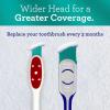 imageGuruNanda Gentle Giant Toothbrush with Dual Action Flossing Spiral Bristles NonSlip Ergo Dexa Grip Helps in Teeth Whitening BPA Free 4 Count4 Count Pack of 2