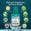 imageGuruNanda Fresh Breath Mouthwash ADAAccepted Alcohol ampamp FluorideFree Sodium Chlorite Essential Oils ampamp Vitamins 12Hrs Fresh Breath Wild Mint 3 oz3 Fl Oz Pack of 1