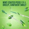 imageGuruNanda 2in1 QuickPik Toothpick ampamp Interdental Pick  Soft Rubber Bristles for Plaque Removal ampamp Improved Oral Care Comes with a Travel Case for OnTheGo Use 60ct60 Count