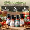 imageGuruNanda Essential Oils Set Pack of 4 x 05 Fl Oz  Pure Natural Frankincense Lavender Eucalyptus ampamp Orange Aromatherapy Oils for Diffusers DIY ampamp Home Use