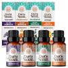 imageGuruNanda Essential Oils Set Pack of 4 x 05 Fl Oz  Pure Natural Frankincense Lavender Eucalyptus ampamp Orange Aromatherapy Oils for Diffusers DIY ampamp Home Use
