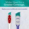 image:imageGuruNanda Gentle Giant Charcoal Toothbrush  Dual Action Flossing Spiral Bristles NonSlip Ergo Dexa Grip Handle Helps in Teeth Whitening BPA Free 2ctRegular