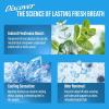 image:imageGuruNanda Nature Blast Mouth Freshener Spray for Bad Breath Sugar Free Travel Size Wild Mint Oral Breath Freshener with Essential Oils Vegan GlutenFree Up to 90 Sprays 05 fl oz05 Fl Oz Pack of 1