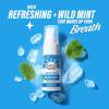 image:imageGuruNanda Nature Blast Mouth Freshener Spray for Bad Breath Sugar Free Travel Size Wild Mint Oral Breath Freshener with Essential Oils Vegan GlutenFree Up to 90 Sprays 05 fl oz05 Fl Oz Pack of 2